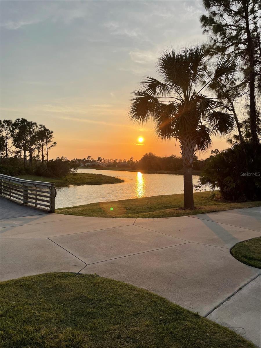 GRAND PALM PH 1A - Residential