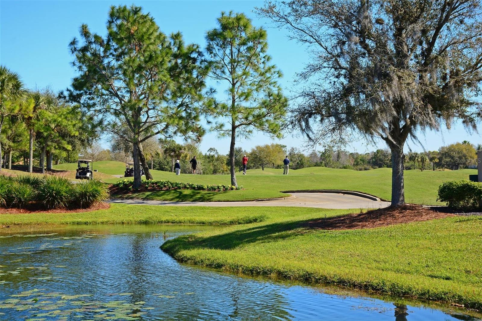 LAKEWOOD RANCH COUNTRY CLUB - Residential