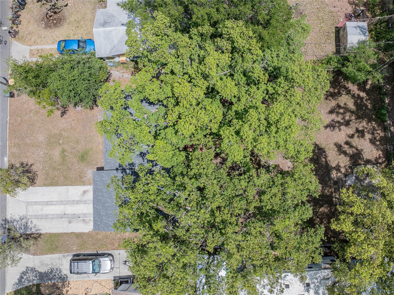 CAMPHOR HEIGHTS - Residential