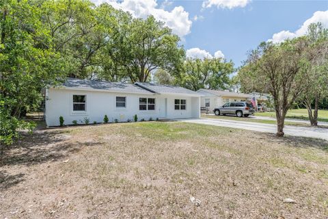 Photo of 1634 S Warren Avenue, Lakeland, FL 33803 (MLS # P4938681)