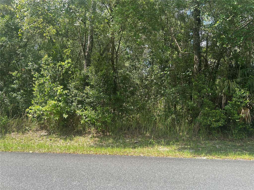 Photo of 3118 E Deal Street, Inverness, FL 34453 (MLS # FC319406)