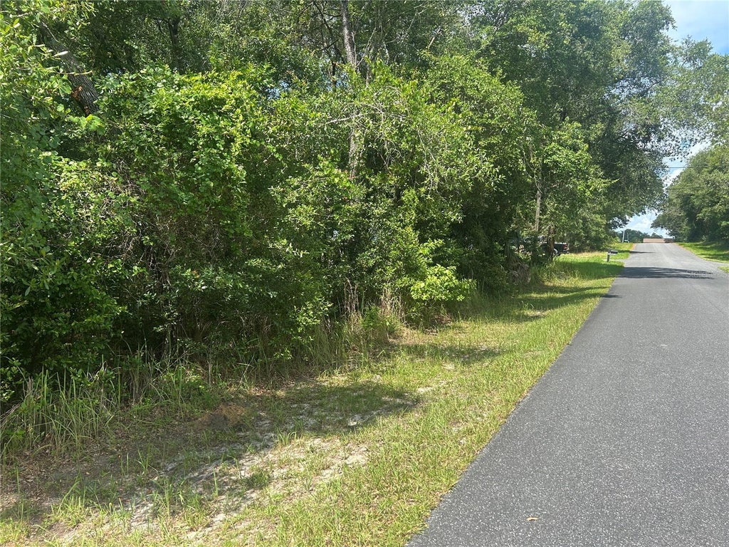 Photo of 3118 E Deal Street, Inverness, FL 34453 (MLS # FC319406)