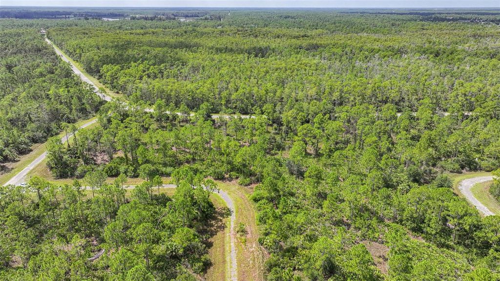 Photo of 309 Nagle Court, Lehigh Acres, FL 33972 (MLS # W7878565)