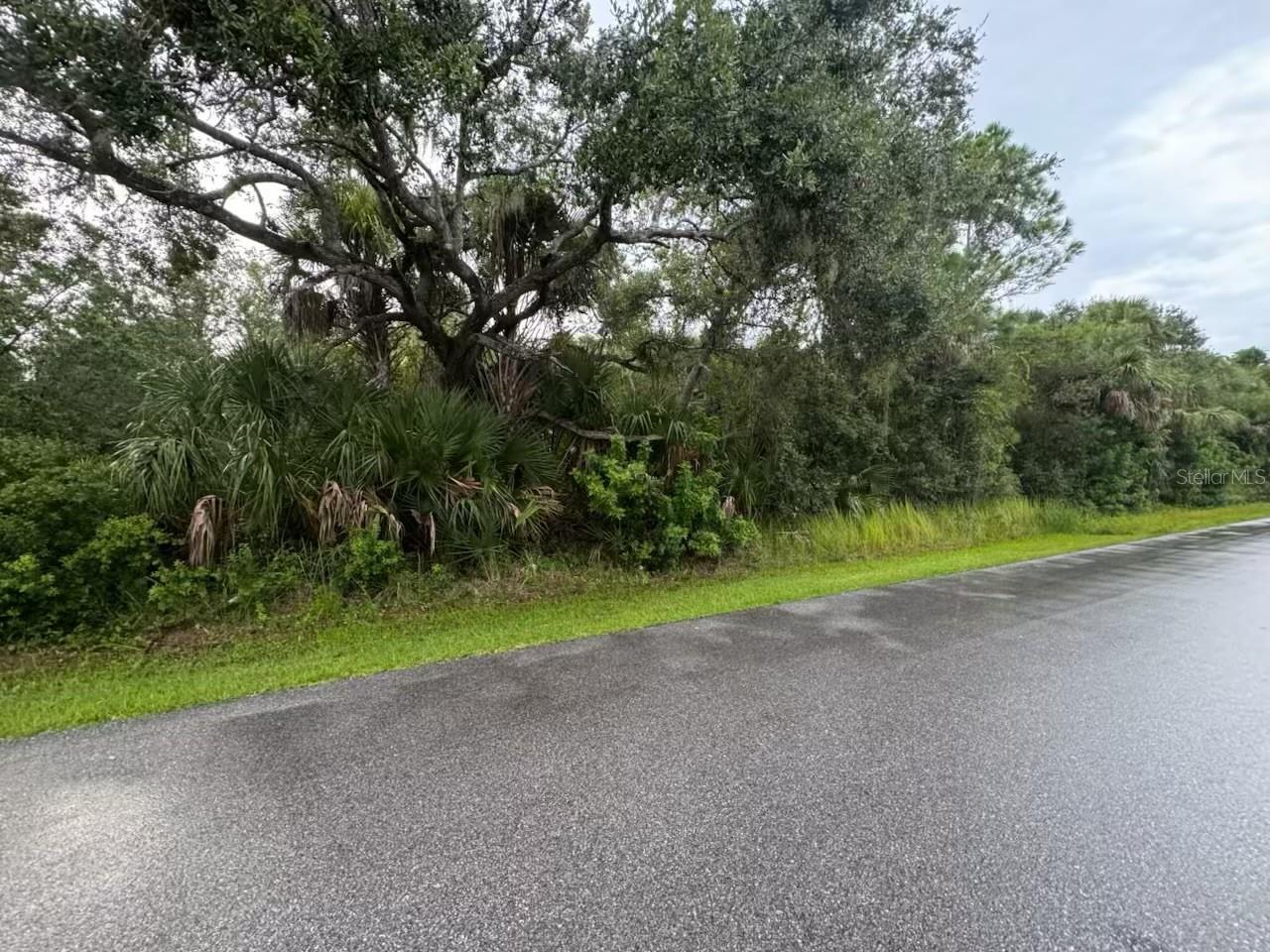Best double lot in entire Area. Close to 41 and the new North Port Mall and dining. But quiet enough to enjoy nature around your future home.
