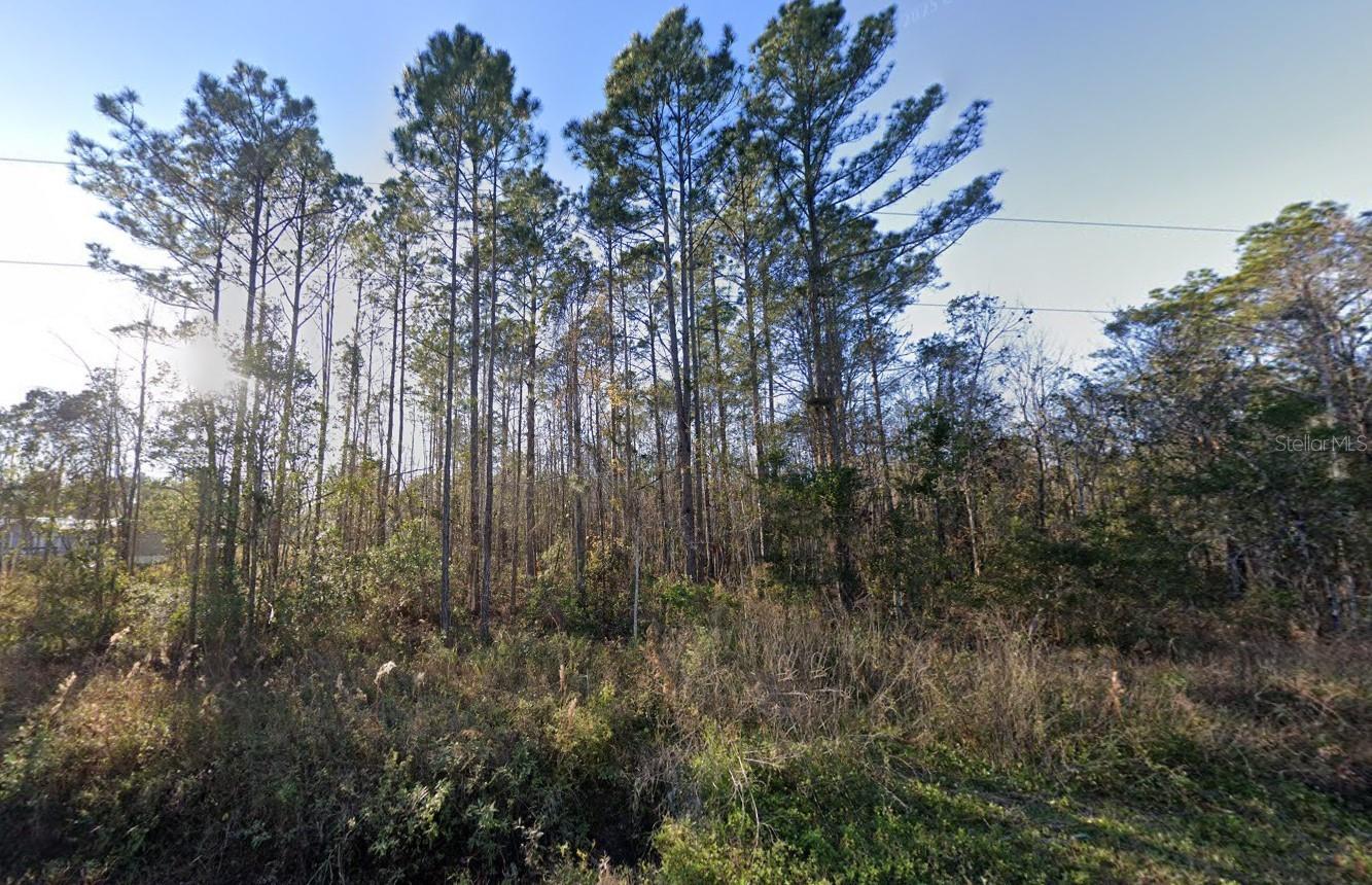 Listing image 5
