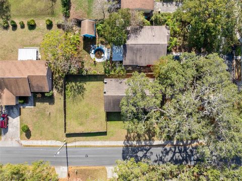 A home in MOUNT DORA