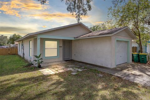 A home in MOUNT DORA