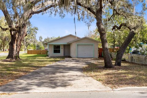 A home in MOUNT DORA