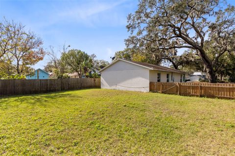 A home in MOUNT DORA