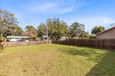 A home in MOUNT DORA