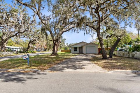 A home in MOUNT DORA