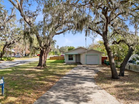 A home in MOUNT DORA