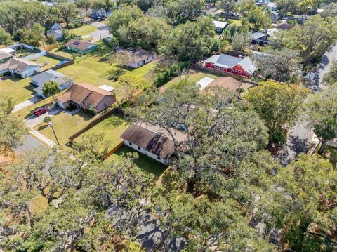 A home in MOUNT DORA