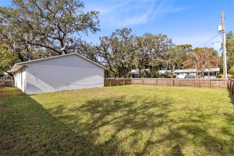 A home in MOUNT DORA