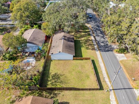 A home in MOUNT DORA