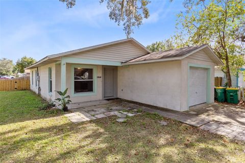 A home in MOUNT DORA