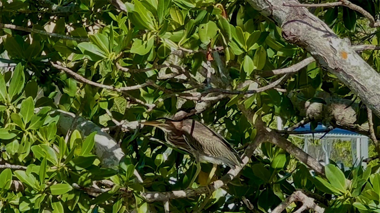 POINTE ON MIDNIGHT PASS - Residential Lease