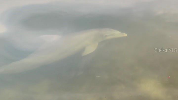 POINTE ON MIDNIGHT PASS - Residential Lease