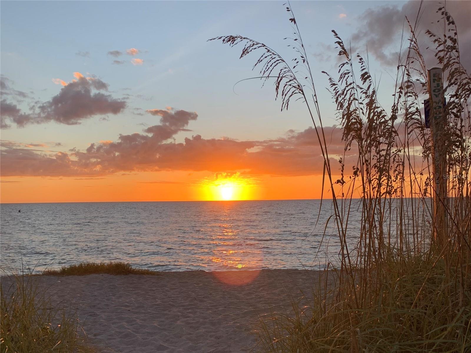 POINTE ON MIDNIGHT PASS - Residential Lease