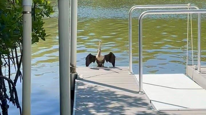 POINTE ON MIDNIGHT PASS - Residential Lease