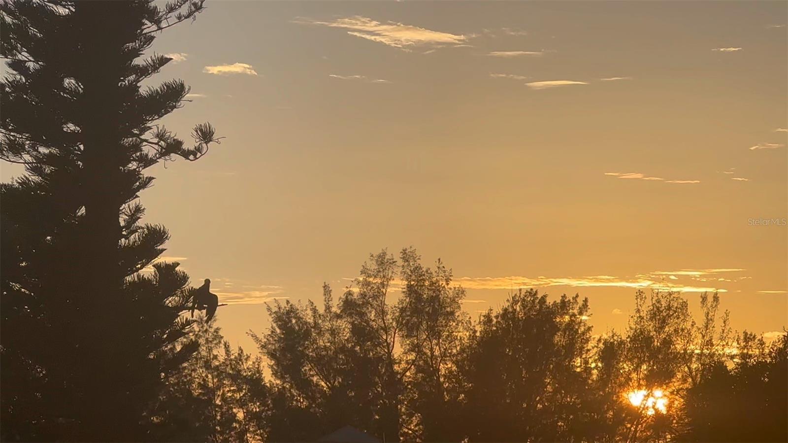 POINTE ON MIDNIGHT PASS - Residential Lease