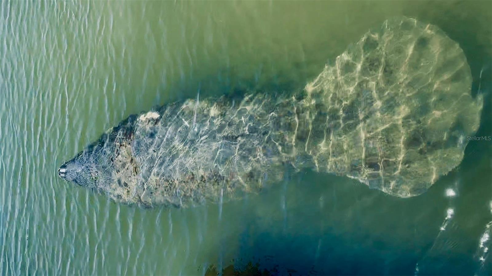 POINTE ON MIDNIGHT PASS - Residential Lease