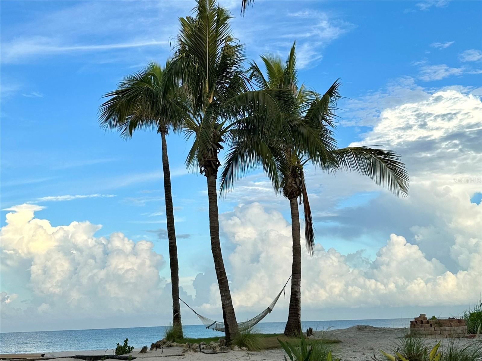 POINTE ON MIDNIGHT PASS - Residential Lease