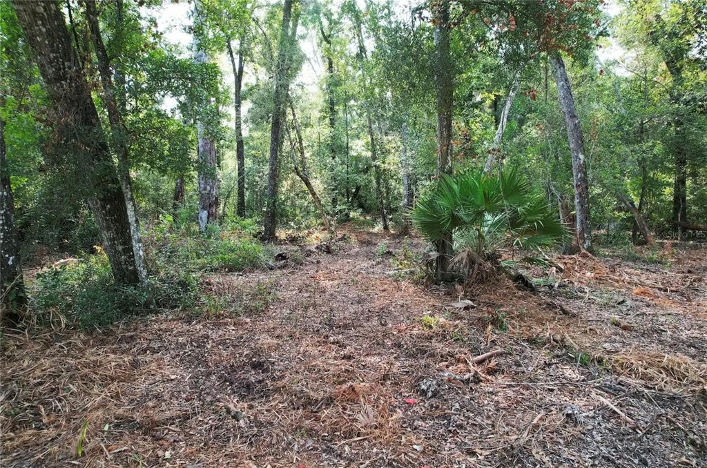 Photo of NE 497th Street, Old Town, FL 32680 (MLS # O6437450)