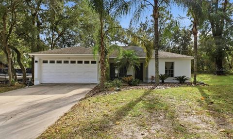 Photo of 1166 15th Street, Orange City, FL 32763 (MLS # V4946085)