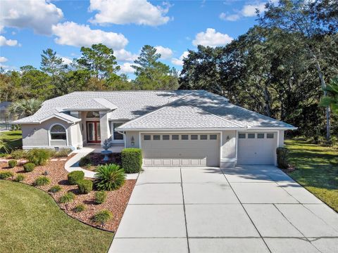 10 EUPHORBIA COURT HOMOSASSA FL 34446