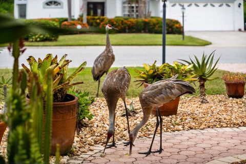 A home in SARASOTA