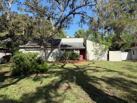 12206 N 53RD STREET TEMPLE TERRACE FL 33617