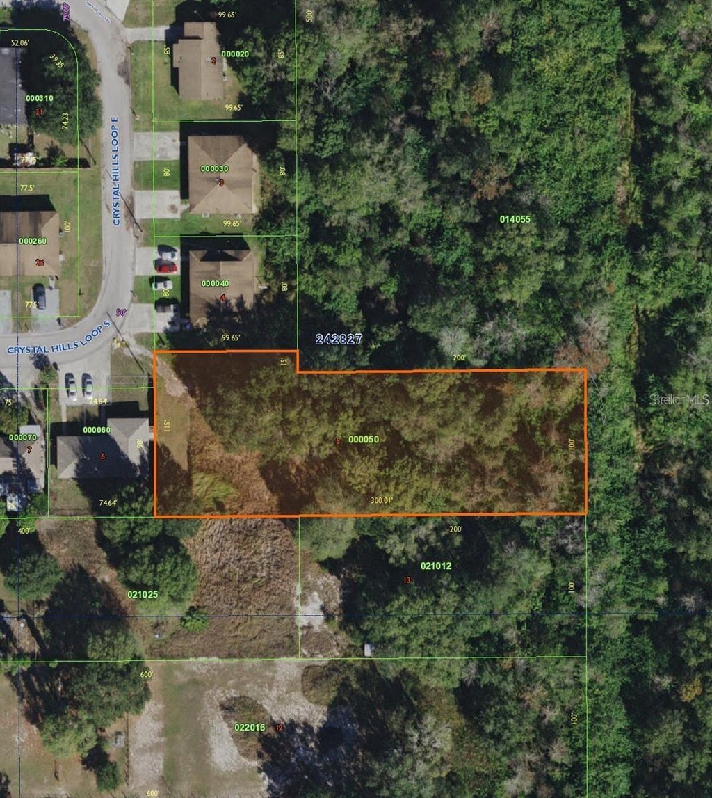 Photo of 2424 Crystal Hills Loop E, Lakeland, FL 33801 (MLS # O6398486)