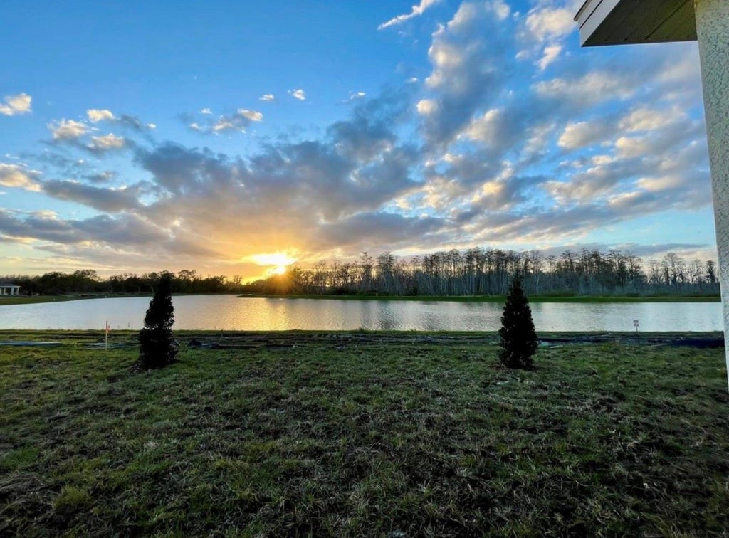 Photo of 2186 Merrybells Drive, Kissimmee, FL 34746 (MLS # G5117554)