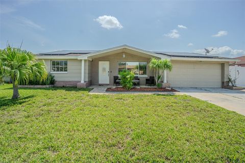 1118 LODESTAR DRIVE HOLIDAY FL 34690