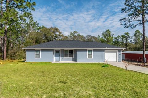 Photo of 20687 SW 59th Lane, Dunnellon, FL 34431 (MLS # OM718696)