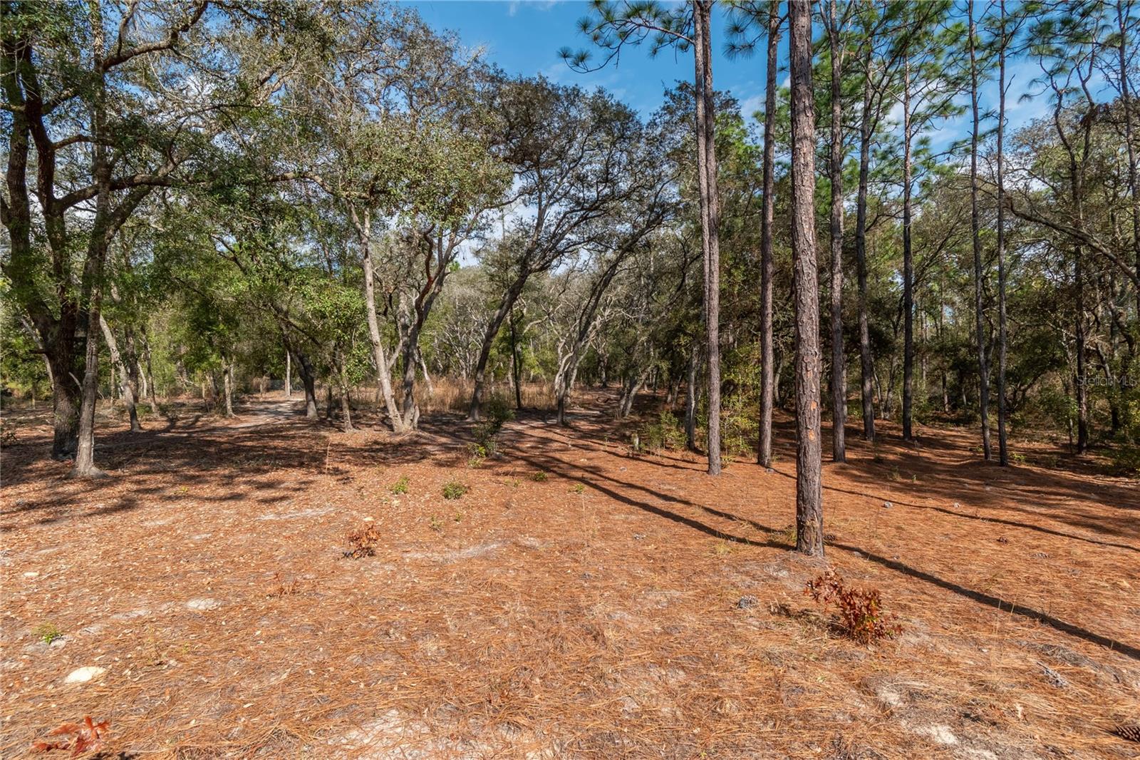 RAINBOW ACRES UN 04 - Residential