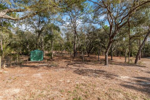 Tiny photo for 20687 SW 59th Lane, Dunnellon, FL 34431 (MLS # OM718696)