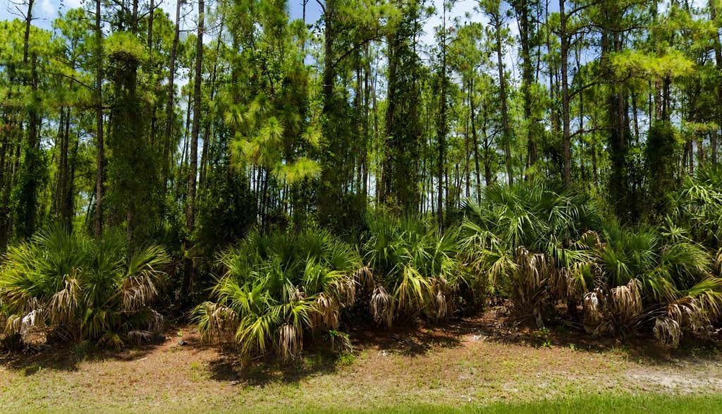 Photo of 00 Kedgewick Lane, North Port, FL 34288 (MLS # O6435646)