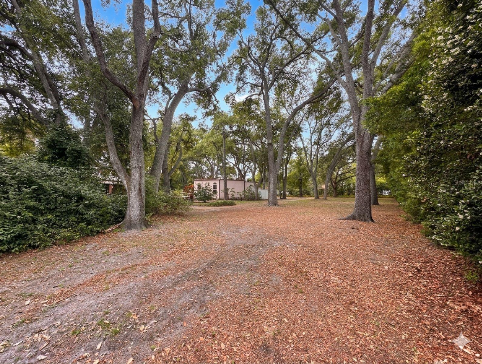 WEDGEWOOD ESTATES - Residential