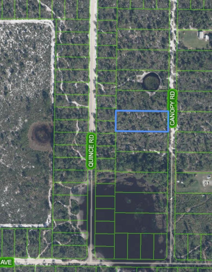 This stunning one-acre lot offers the ideal location to build your custom dream home. There’s no HOA! Not in a flood zone! You’ll enjoy a variety of nearby outdoor activities, including golfing, fishing, and the Sebring Raceway. Plus, shopping, medical facilities, and a hospital are just a short distance away. Listing agent is a member of the selling LLC.