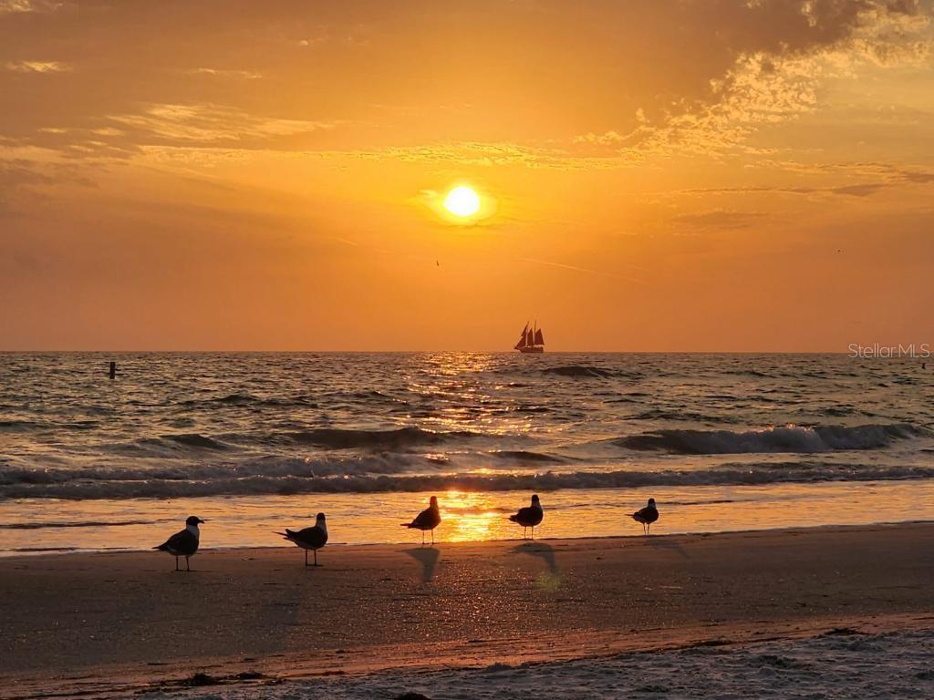 MADEIRA TOWERS CONDO - Residential