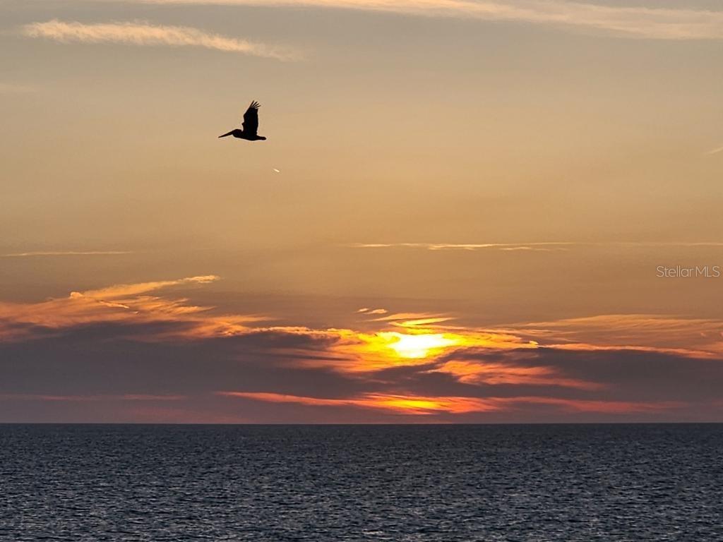 MADEIRA TOWERS CONDO - Residential