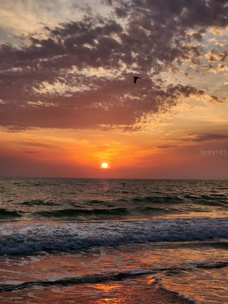 MADEIRA TOWERS CONDO - Residential