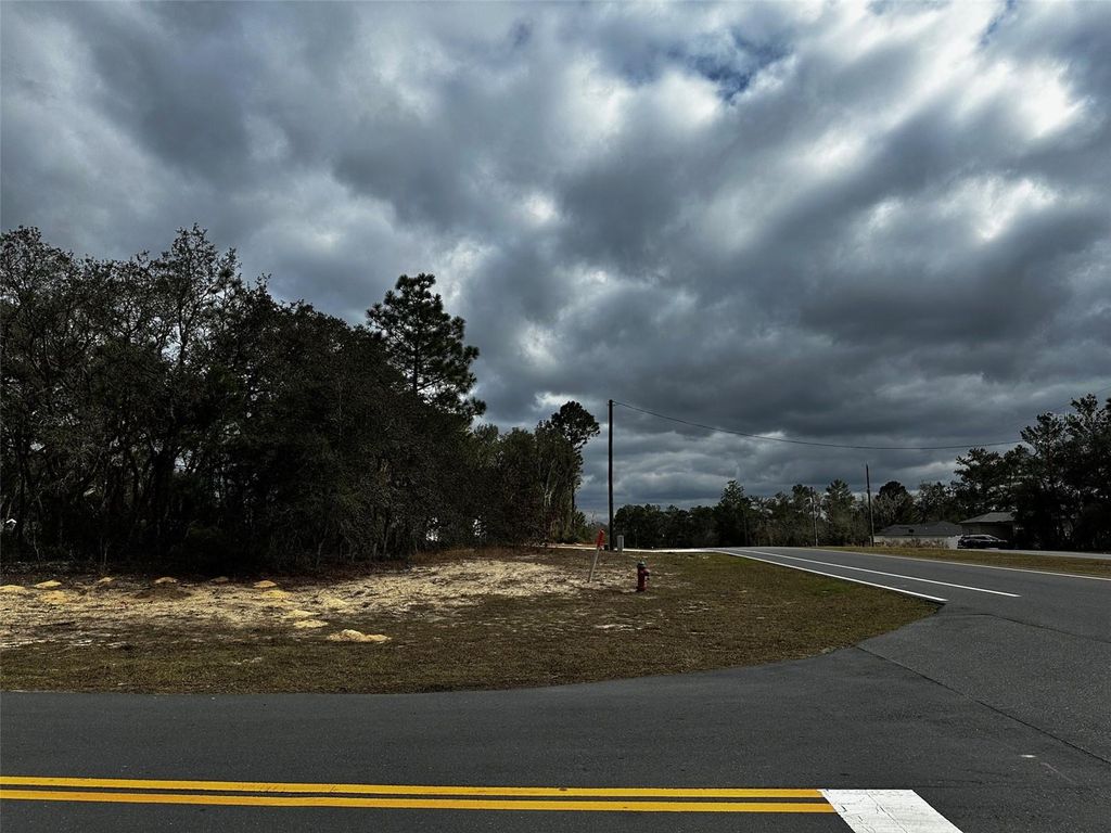 Photo of Marion Oaks Mnr, Ocala, FL 34474 (MLS # TB8496161)