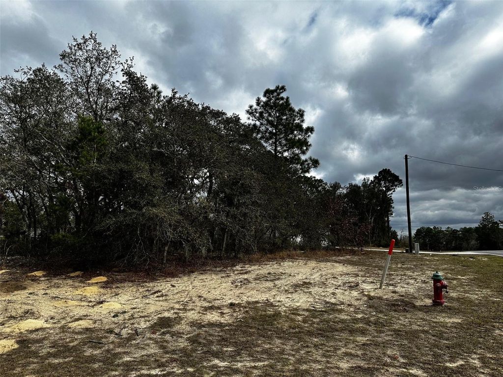 Photo of Marion Oaks Mnr, Ocala, FL 34474 (MLS # TB8496161)