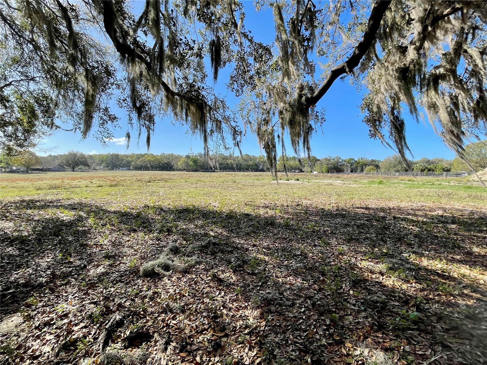 SUMMERFIELD MEADOWS - Land