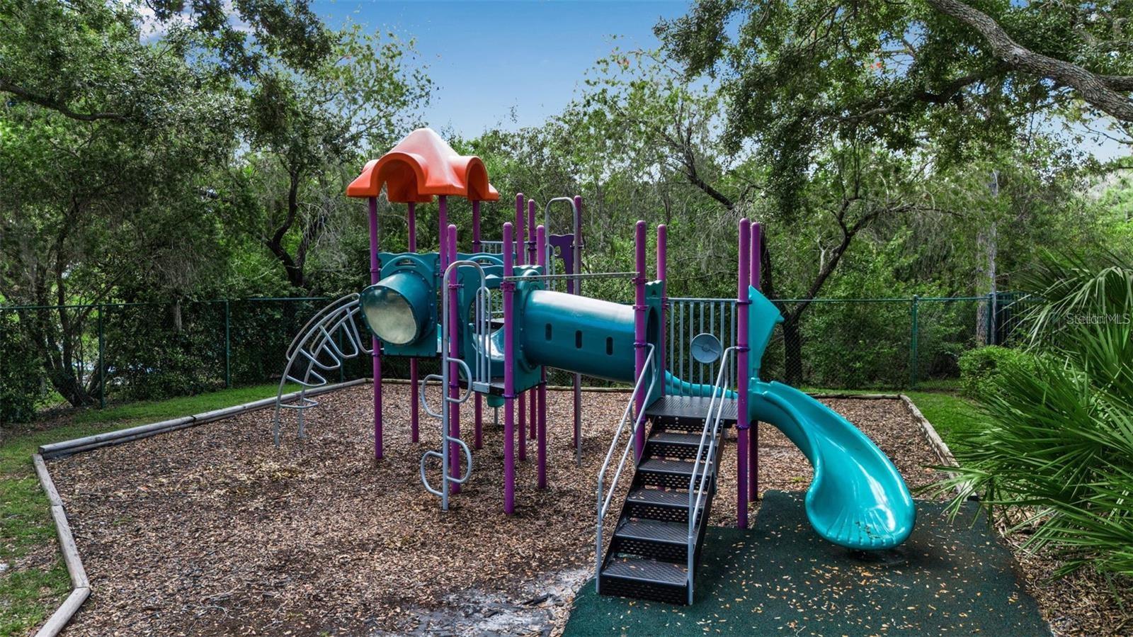CARLYLE AT VILLAGES OF PALM-AIRE - Residential