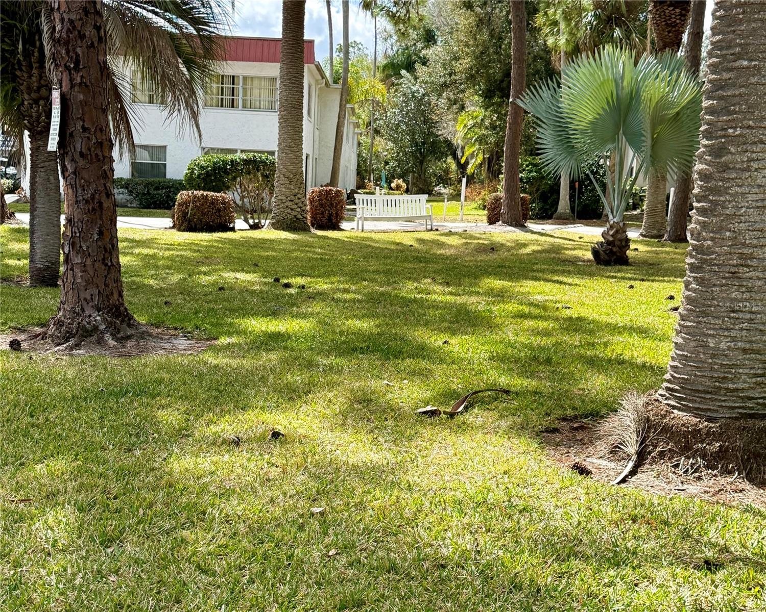 ORCHID SPGS VILL 300 BARCELONA - Residential