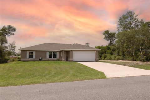 Photo of 16863 SW 29th Terrace Road, Ocala, FL 34473 (MLS # O6318406)
